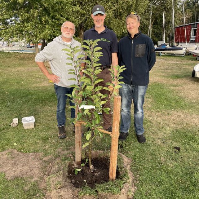 Baumpflanz-Challenge 2025.jpg